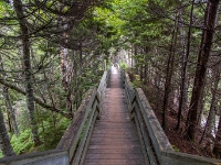 Fundy National Park Of Canada